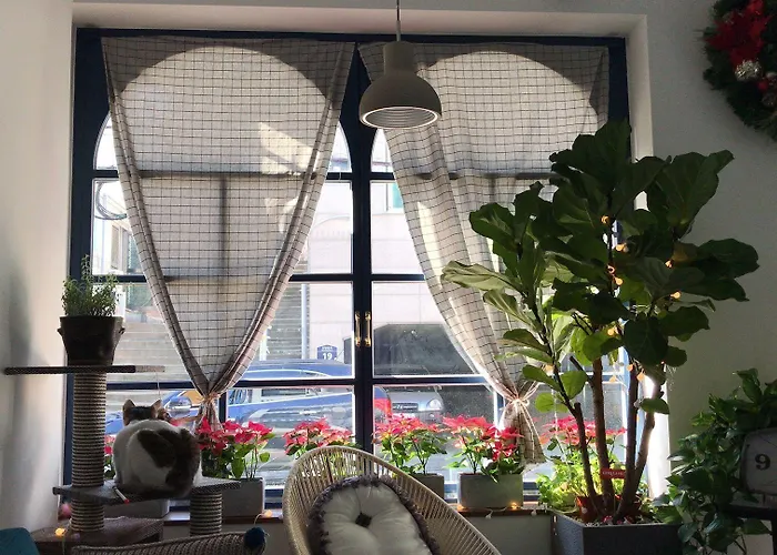 Single Single Hostel Busan
